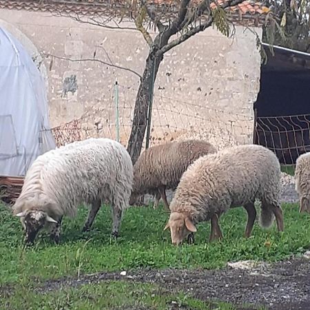 Maison De Campagne A La Ferme Pillac Экстерьер фото