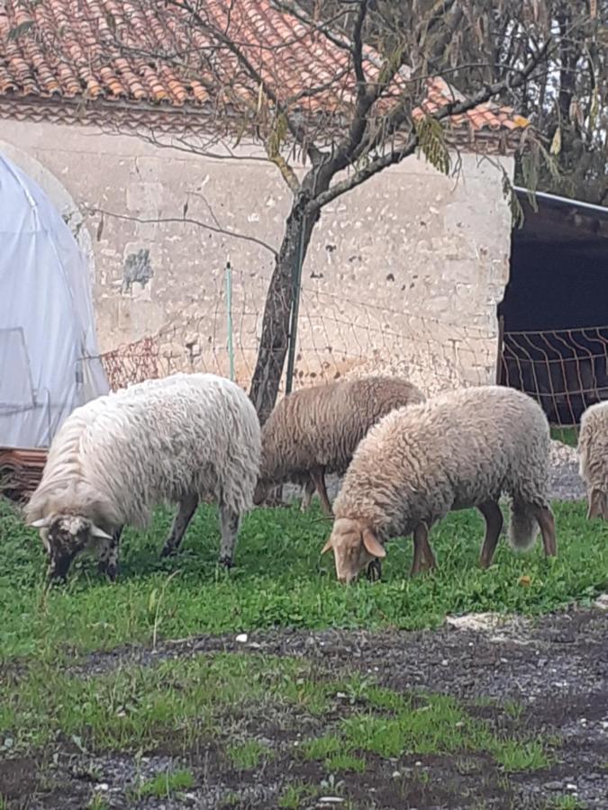 Maison De Campagne A La Ferme Pillac Экстерьер фото